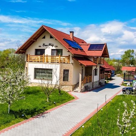 Casa Nely Hotell Sighetu Marmaţiei Eksteriør bilde
