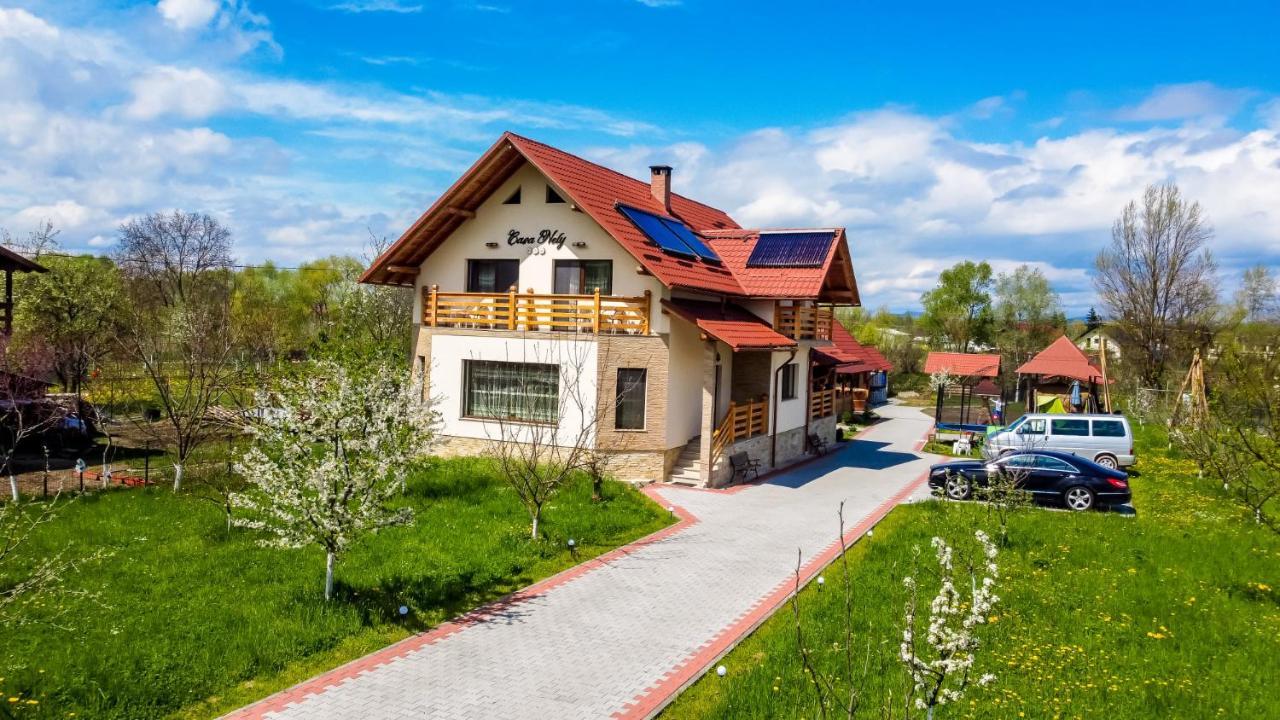 Casa Nely Hotell Sighetu Marmaţiei Eksteriør bilde